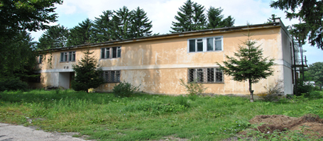Rulmentul